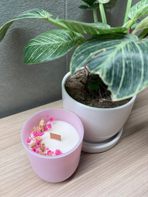 Hidden Groove candle – top view with pink dried botanicals