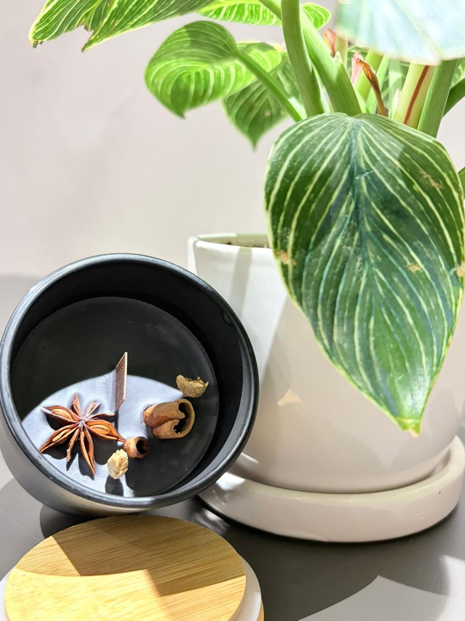 Sacred Wood candle top-down angled view showing wooden wick