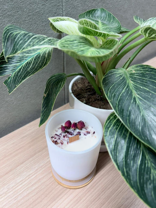 Quiet Romance candle – top view with rose buds and botanical details